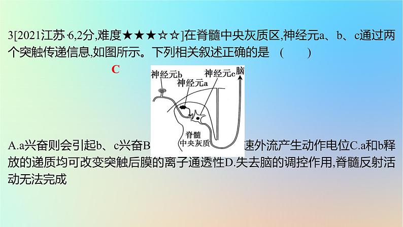 2025版高考生物一轮复习真题精练第八章动物生命活动的调节第28练神经调节课件06