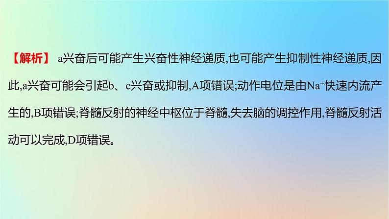 2025版高考生物一轮复习真题精练第八章动物生命活动的调节第28练神经调节课件07