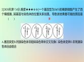 2025版高考生物一轮复习真题精练第七章生物的变异与进化第24练生物变异的类型课件