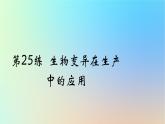 2025版高考生物一轮复习真题精练第七章生物的变异与进化第25练生物变异在生产中的应用课件