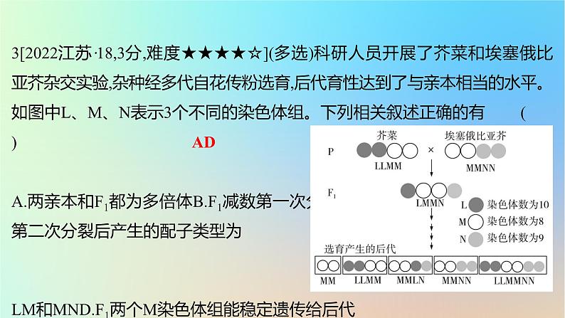 2025版高考生物一轮复习真题精练第七章生物的变异与进化第25练生物变异在生产中的应用课件06