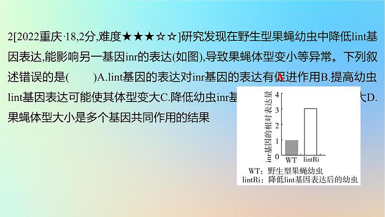 2025版高考生物一轮复习真题精练第六章遗传的分子基础第23练基因的表达课件第4页