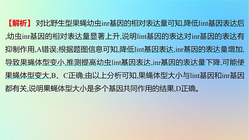 2025版高考生物一轮复习真题精练第六章遗传的分子基础第23练基因的表达课件第5页