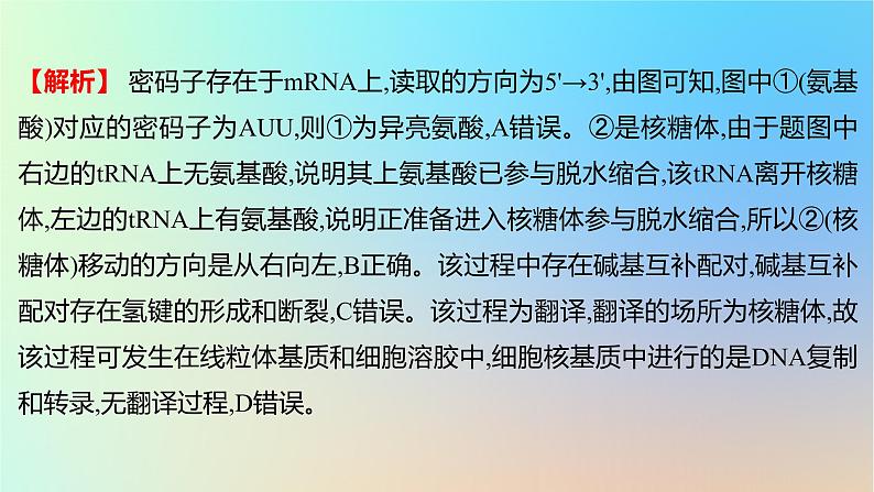 2025版高考生物一轮复习真题精练第六章遗传的分子基础第23练基因的表达课件第7页