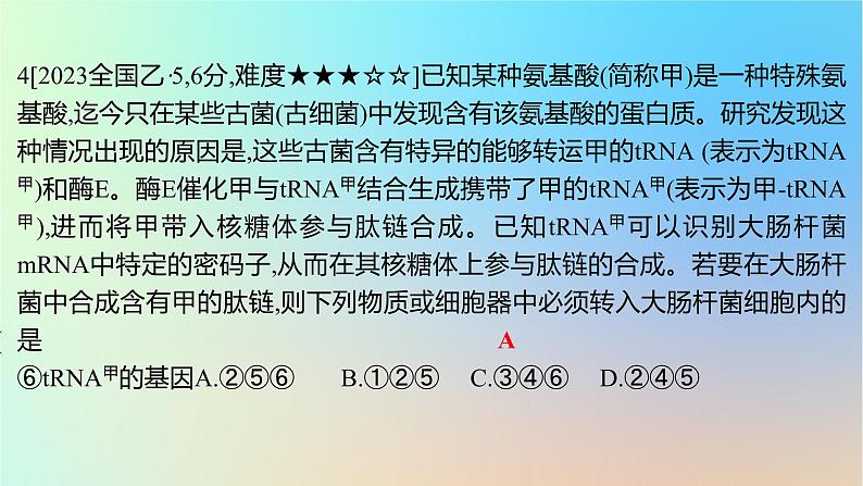 2025版高考生物一轮复习真题精练第六章遗传的分子基础第23练基因的表达课件第8页