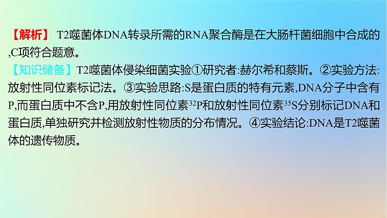 2025版高考生物一轮复习真题精练第六章遗传的分子基础第21练DNA是主要的遗传物质课件03