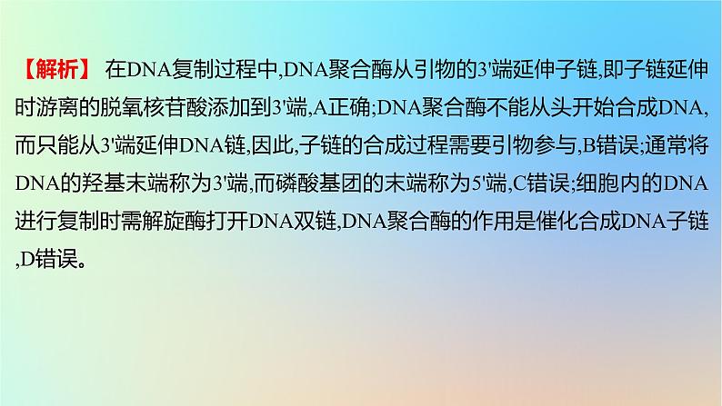 2025版高考生物一轮复习真题精练第六章遗传的分子基础第22练DNA的结构与复制课件第3页