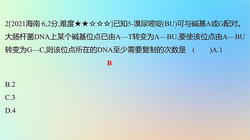 2025版高考生物一轮复习真题精练第六章遗传的分子基础第22练DNA的结构与复制课件第4页