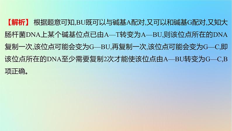 2025版高考生物一轮复习真题精练第六章遗传的分子基础第22练DNA的结构与复制课件第5页