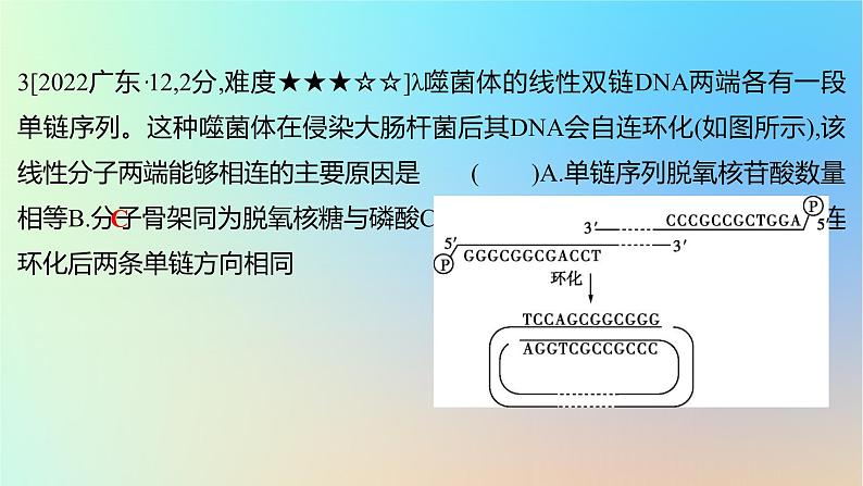 2025版高考生物一轮复习真题精练第六章遗传的分子基础第22练DNA的结构与复制课件第6页