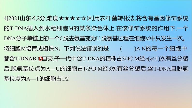 2025版高考生物一轮复习真题精练第六章遗传的分子基础第22练DNA的结构与复制课件第8页