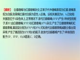 2025版高考生物一轮复习真题精练第五章遗传的基本规律第18练基因在染色体上和伴性遗传课件