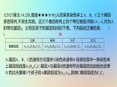 2025版高考生物一轮复习真题精练第五章遗传的基本规律第20练遗传规律的应用课件