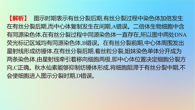 2025版高考生物一轮复习真题精练第四章细胞的生命历程第12练细胞的增殖课件03