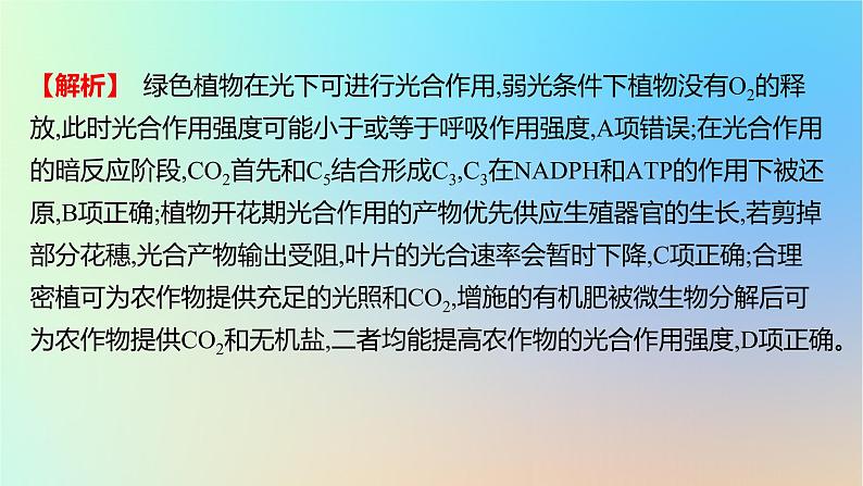 2025版高考生物一轮复习真题精练第三章细胞的能量供应和利用第10练光合作用与能量转化课件03