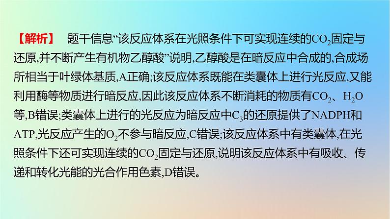 2025版高考生物一轮复习真题精练第三章细胞的能量供应和利用第10练光合作用与能量转化课件05