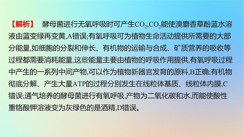 2025版高考生物一轮复习真题精练第三章细胞的能量供应和利用第9练细胞呼吸的原理和应用课件第3页