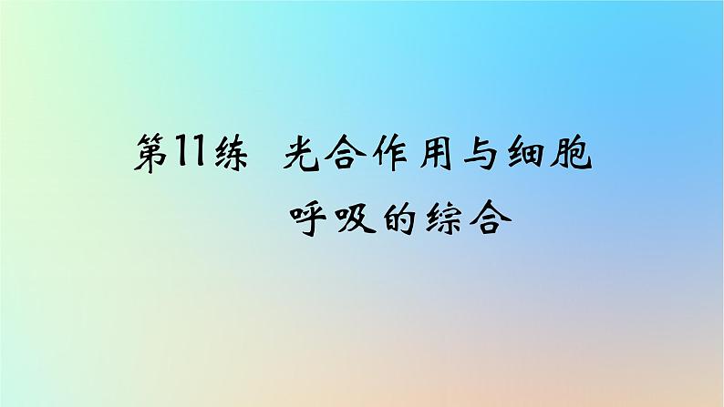 2025版高考生物一轮复习真题精练第三章细胞的能量供应和利用第11练光合作用与细胞呼吸的综合课件第1页