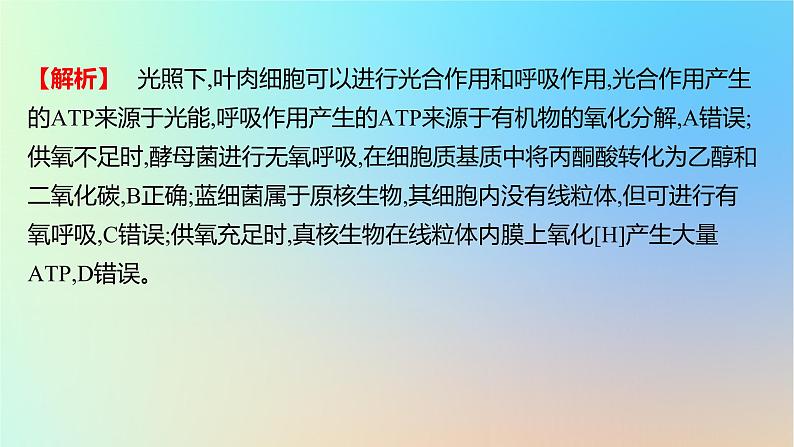 2025版高考生物一轮复习真题精练第三章细胞的能量供应和利用第11练光合作用与细胞呼吸的综合课件第3页