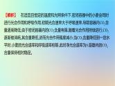 2025版高考生物一轮复习真题精练第三章细胞的能量供应和利用第11练光合作用与细胞呼吸的综合课件