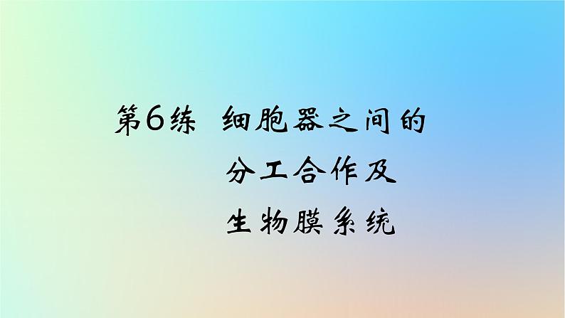 2025版高考生物一轮复习真题精练第二章细胞的基本结构与物质运输第6练细胞器之间的分工合作及生物膜系统课件01
