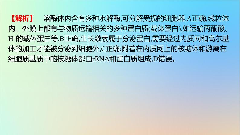 2025版高考生物一轮复习真题精练第二章细胞的基本结构与物质运输第6练细胞器之间的分工合作及生物膜系统课件03
