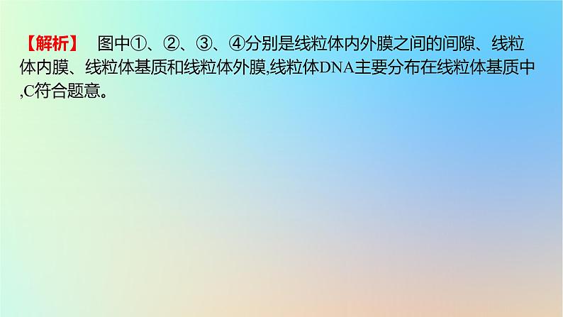 2025版高考生物一轮复习真题精练第二章细胞的基本结构与物质运输第6练细胞器之间的分工合作及生物膜系统课件05