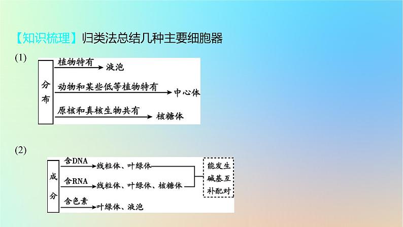 2025版高考生物一轮复习真题精练第二章细胞的基本结构与物质运输第6练细胞器之间的分工合作及生物膜系统课件08