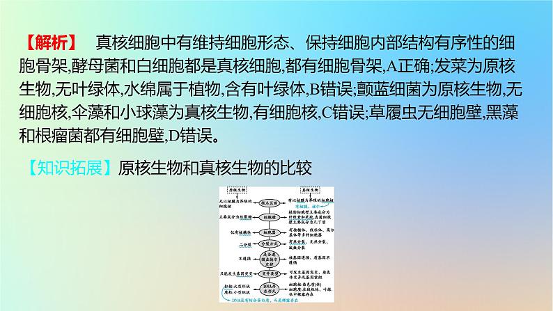 2025版高考生物一轮复习真题精练第二章细胞的基本结构与物质运输第4练走近细胞课件第5页