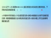 2025版高考生物一轮复习真题精练第一章细胞的分子组成第3练细胞中的蛋白质和核酸课件