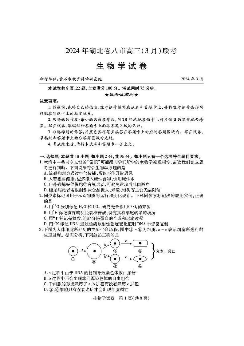 生物试卷-2024年湖北省八市高三3月联考第1页
