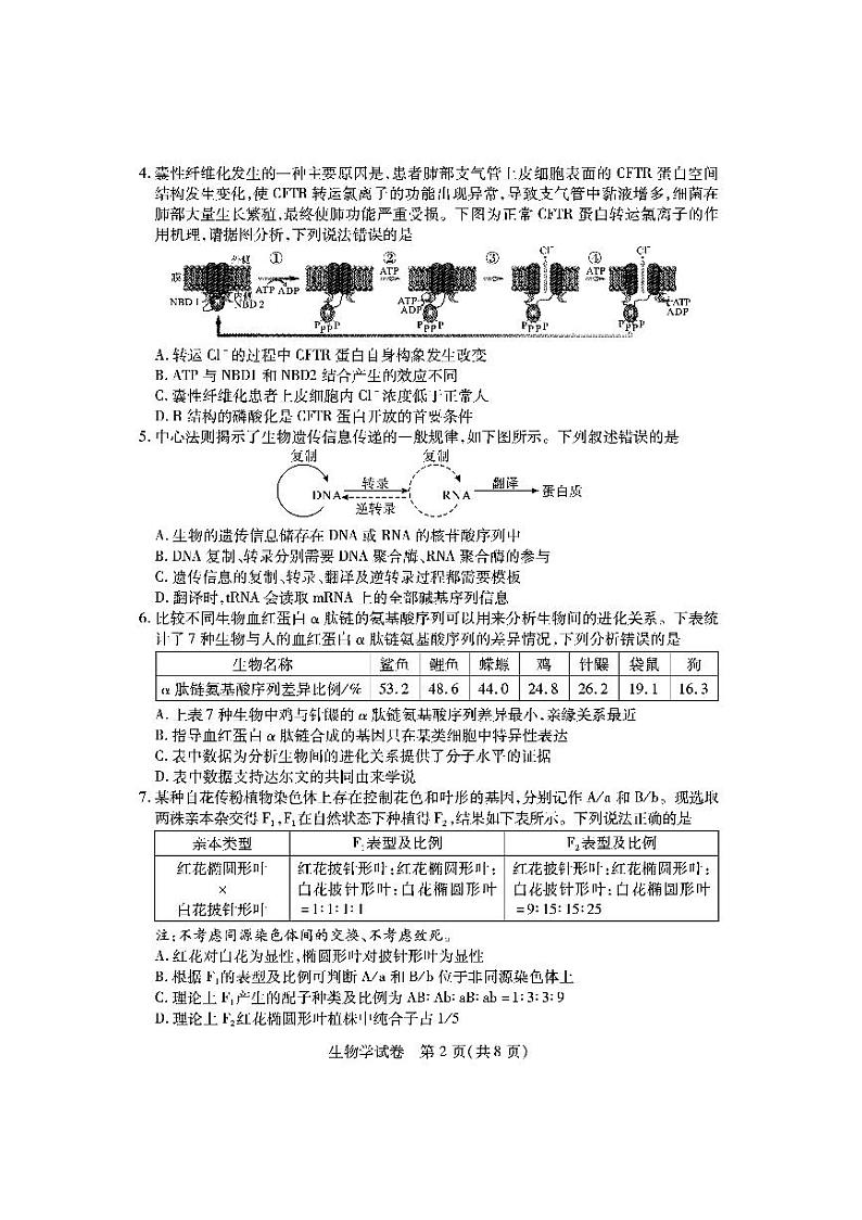 生物试卷-2024年湖北省八市高三3月联考第2页