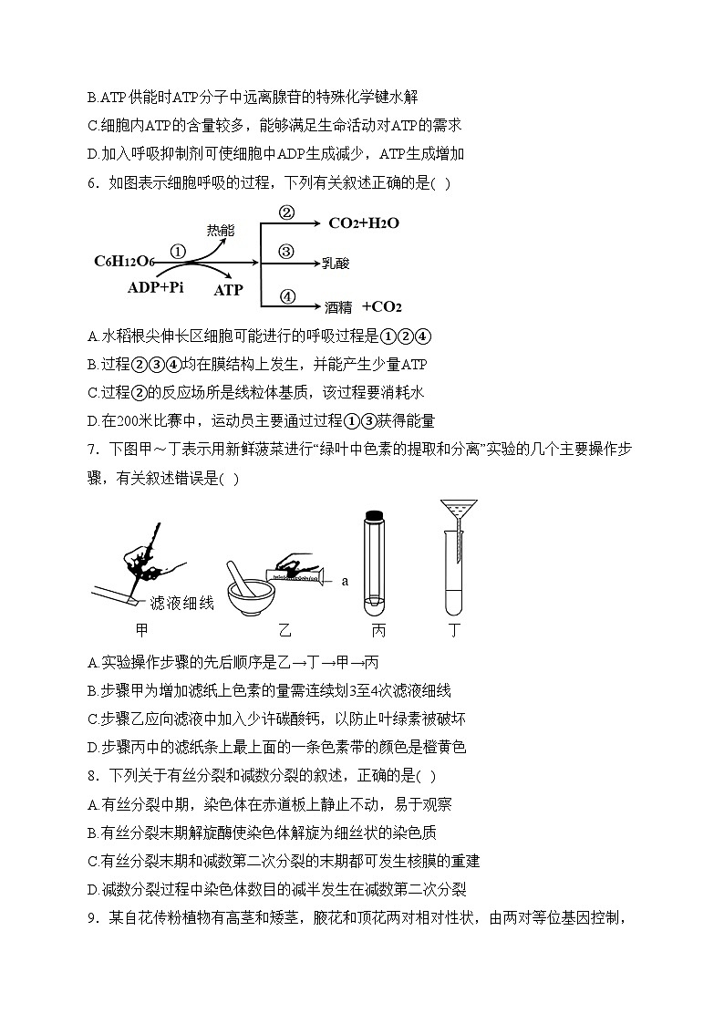甘肃省天水市三校2024届高三上学期12月联考生物试卷(含答案)第2页