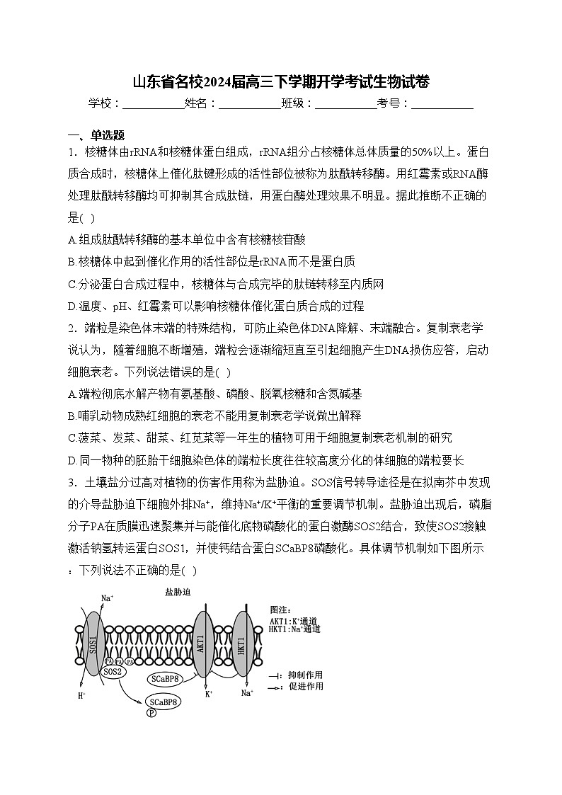 山东省名校2024届高三下学期开学考试生物试卷(含答案)01