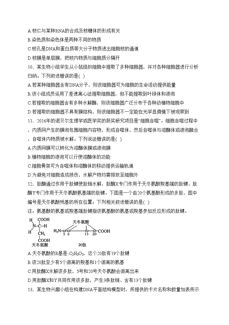 陕西省宝鸡市渭滨区2023-2024学年高一上学期期末考试生物试卷(含答案)第3页