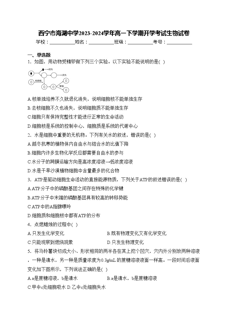 西宁市海湖中学2023-2024学年高一下学期开学考试生物试卷(含答案)第1页