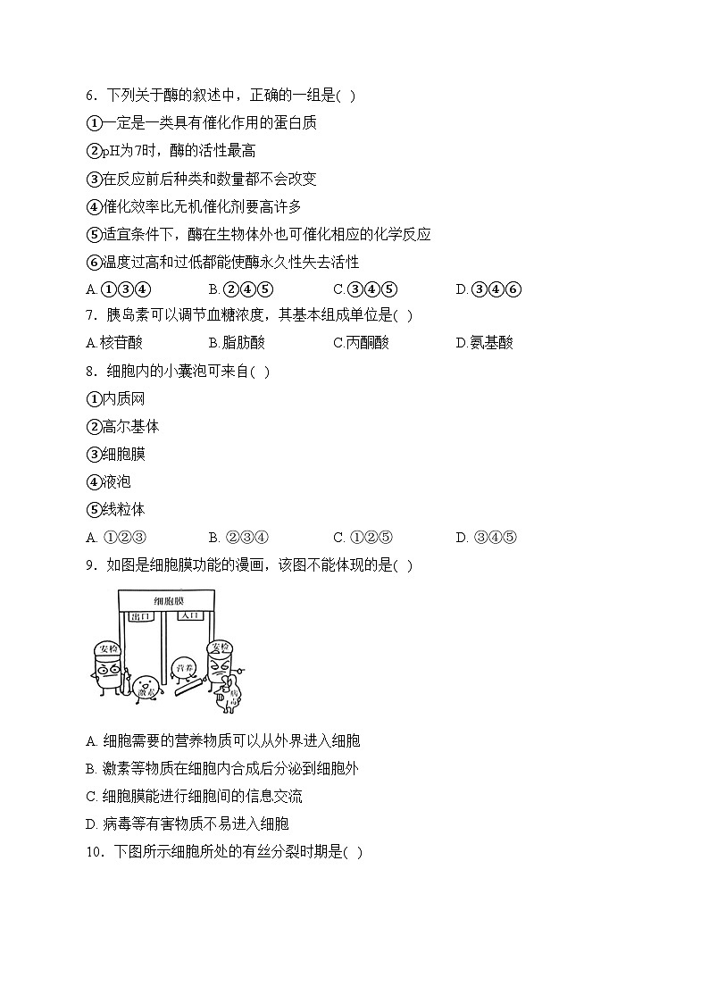 西宁市海湖中学2023-2024学年高一下学期开学考试生物试卷(含答案)第2页