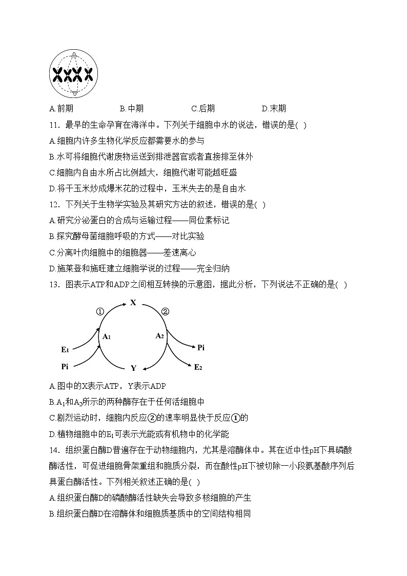 西宁市海湖中学2023-2024学年高一下学期开学考试生物试卷(含答案)第3页