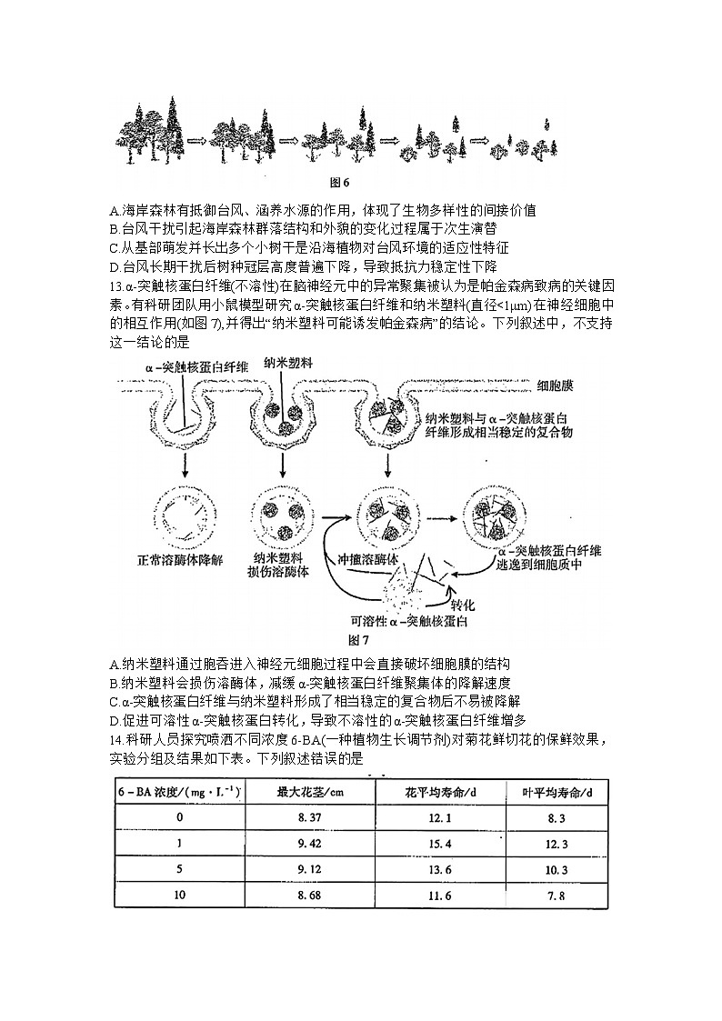 广东省普通高中2024届高三下学期一模考试生物试题第3页
