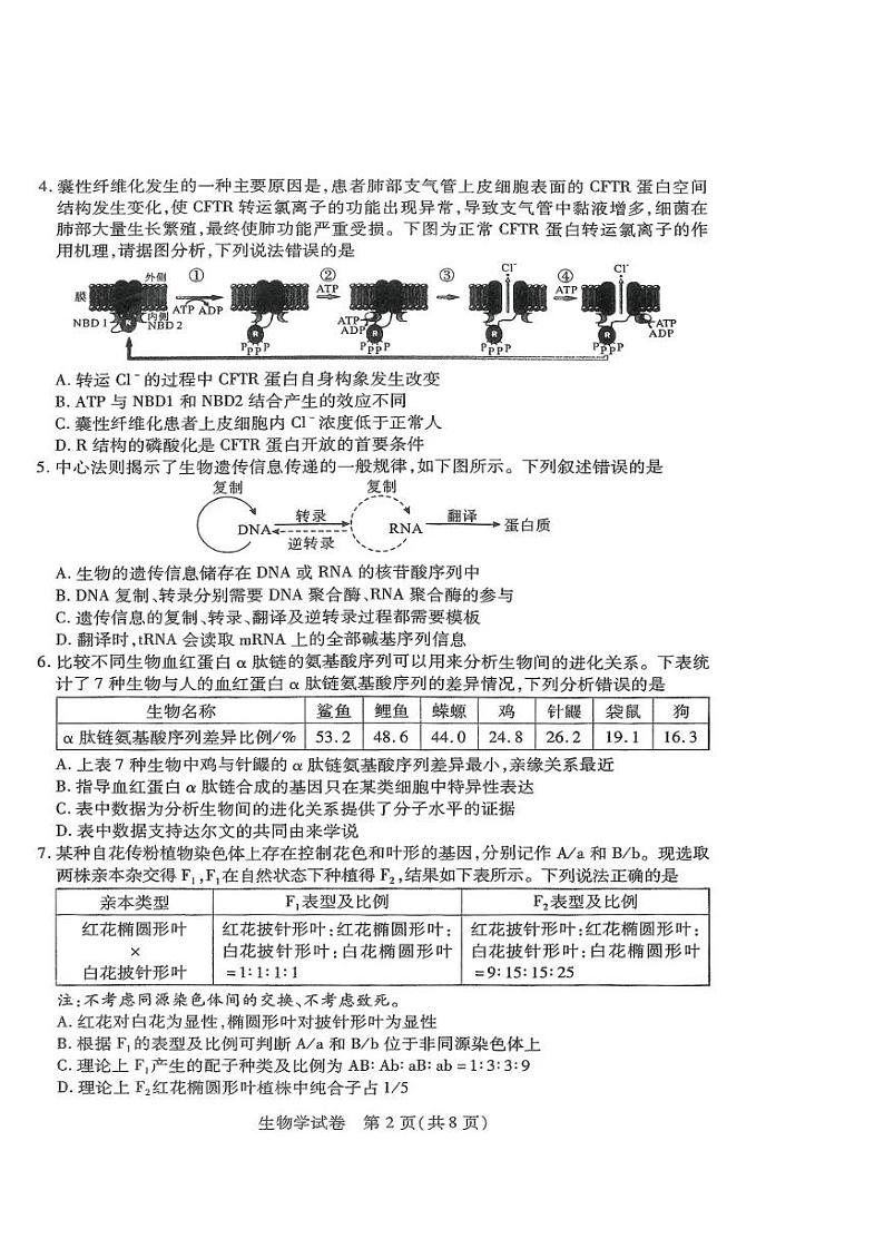 湖北省八市2023-2024高三下学期3月联考生物试卷及答案第2页