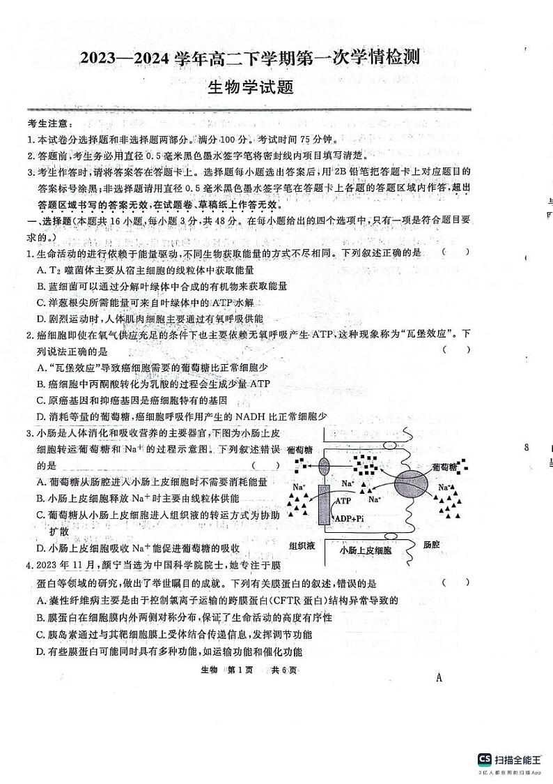 2024安徽师大附中高二下学期2月月考试题生物PDF版含解析第1页