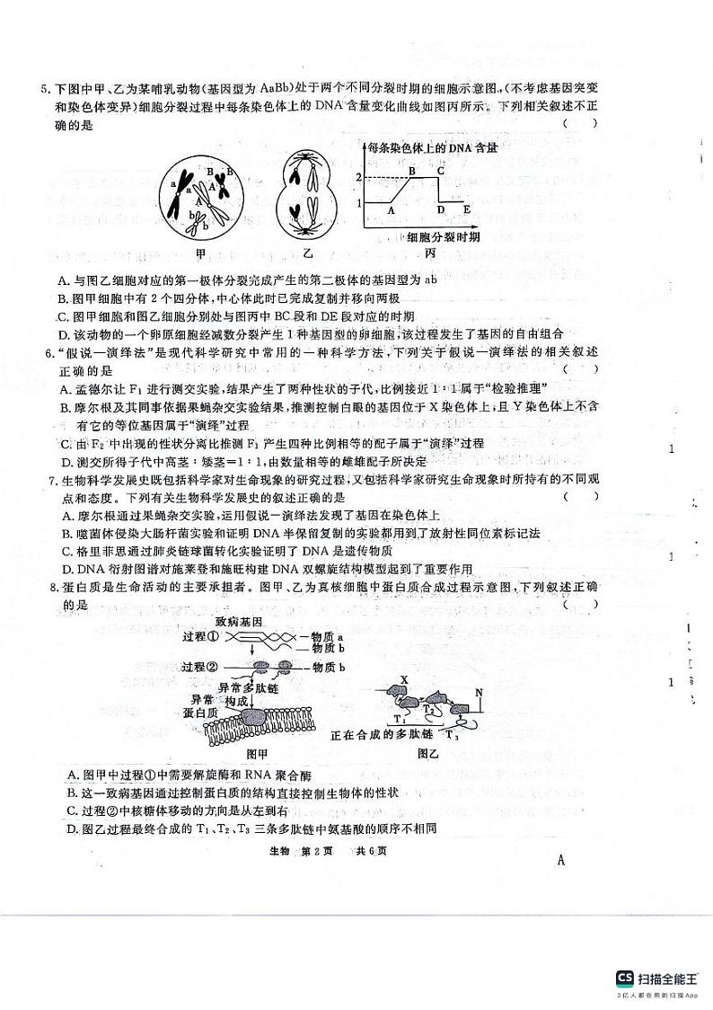 2024安徽师大附中高二下学期2月月考试题生物PDF版含解析第2页