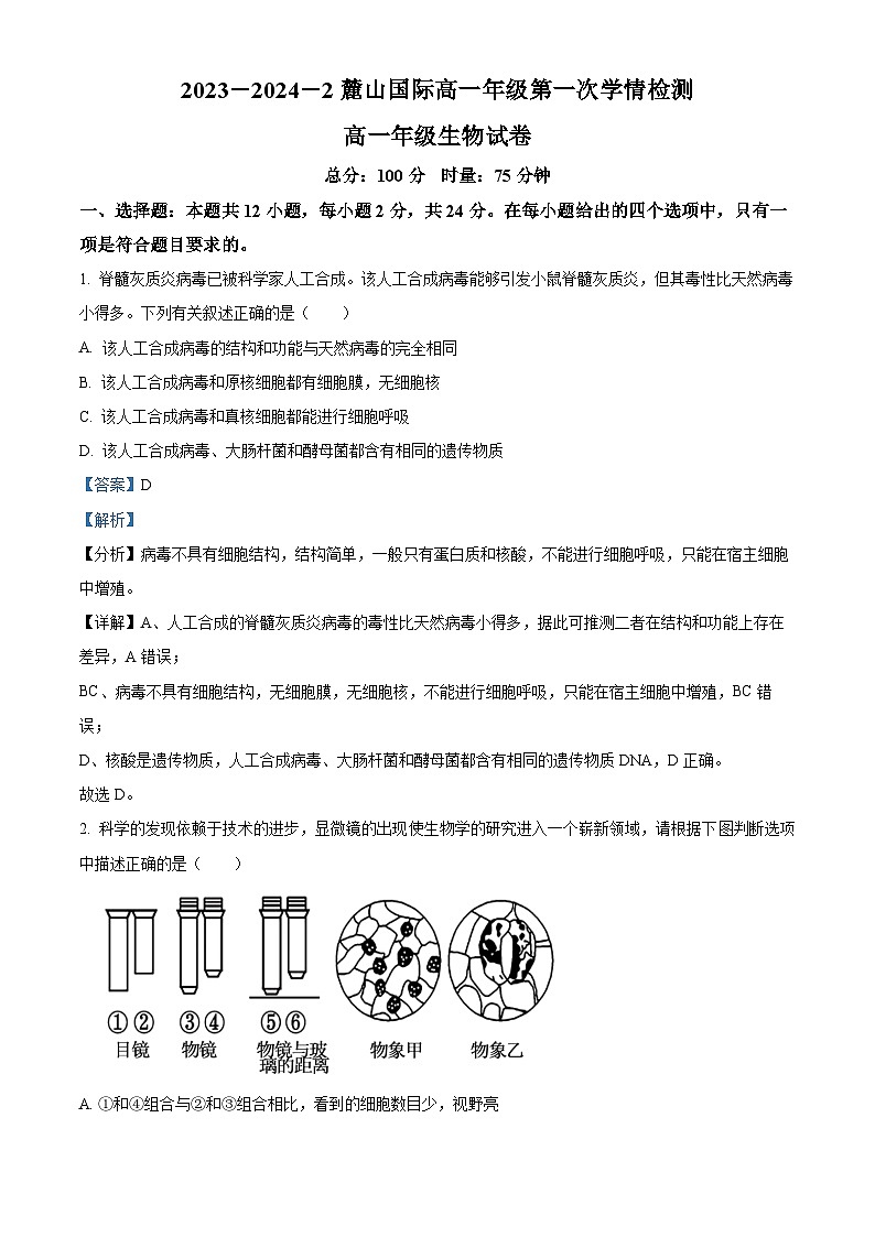 2024长沙麓山国际实验学校高一下学期第一次学情检测生物试题含解析01