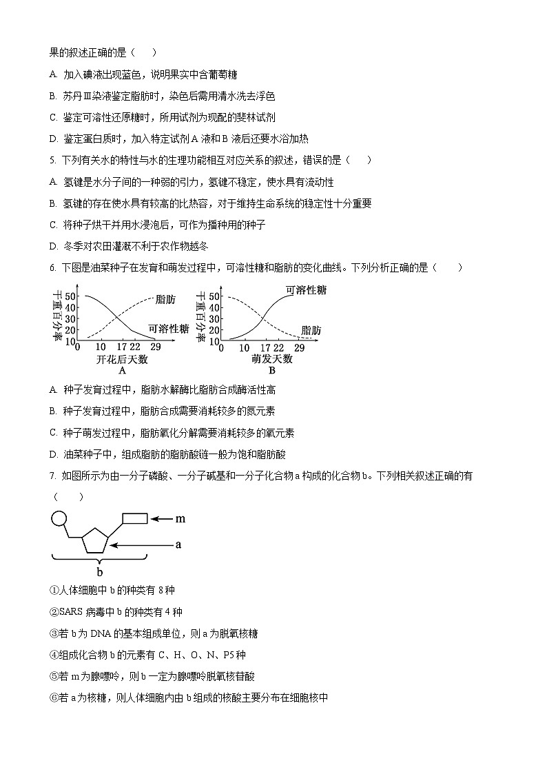 2024长沙麓山国际实验学校高一下学期第一次学情检测生物试题含解析02