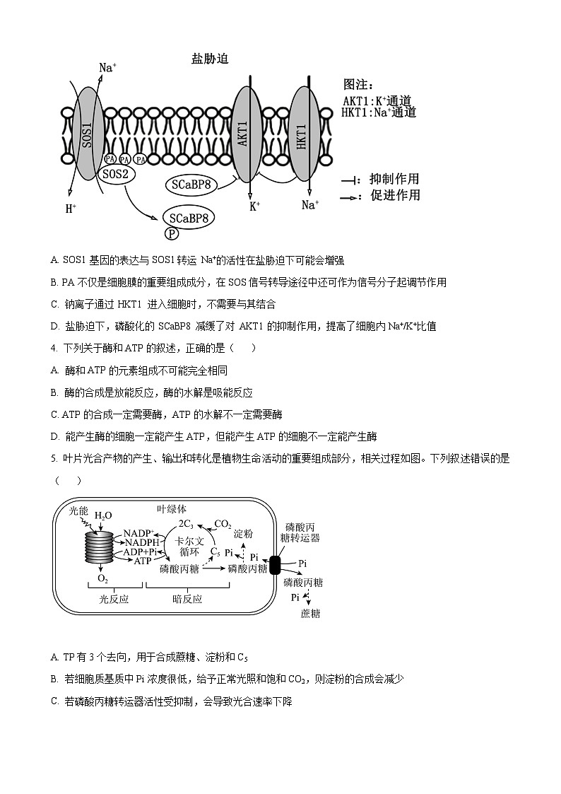 2024盐城建湖高级中学高一下学期开学考试生物含解析02