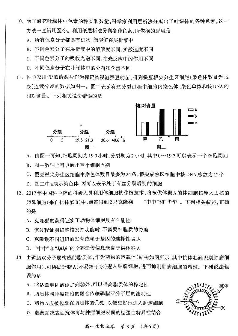 广西省桂林市2023-2024学年高一上学期期末质量检测生物试题03
