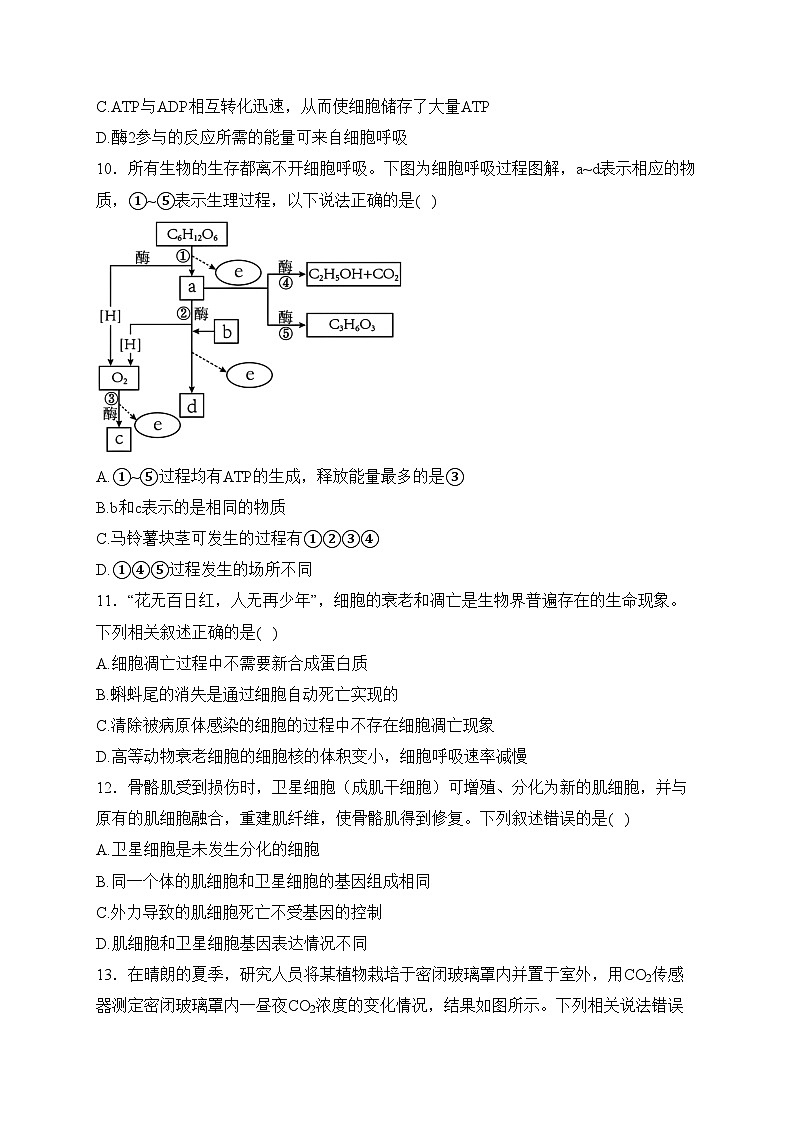 广西部分学校2023-2024学年高一下学期开学考试生物试卷(含答案)第3页
