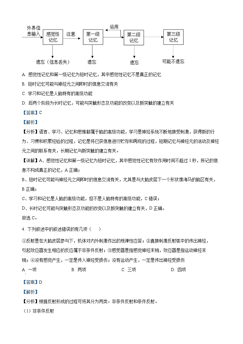 安徽省马鞍山市第二中学2023-2024高二下学期开学考试生物学试卷（Word版附解析）03