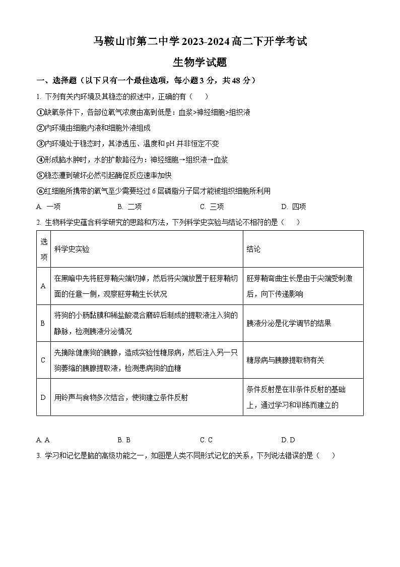 安徽省马鞍山市第二中学2023-2024高二下学期开学考试生物学试卷（Word版附解析）01