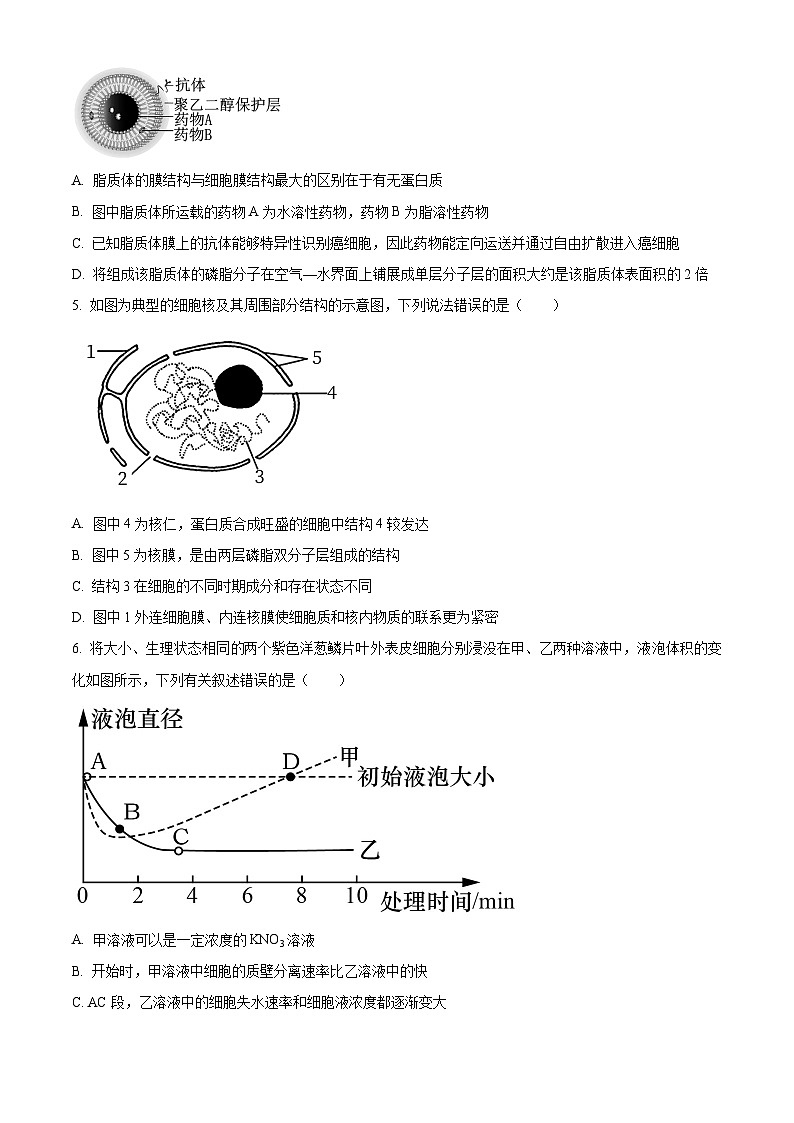 安徽省宿州市十三校联考2023-2024学年高一上学期期末生物试卷（Word版附解析）02